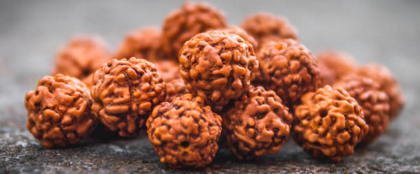 Ek Mukhi Rudraksha Sahakara Nagar