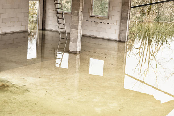 Water Restoration: Professional Help After Water Damage